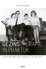Gezinstherapie in praktijk - Peter Rober - 9789033488214