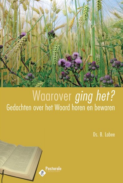 Waarover ging het?, B. Labee ; J. Kranendonk-Gijssen - Ebook - 9789033603310