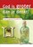 God is groter dan je denkt!, René van Loon - Paperback - 9789033802027