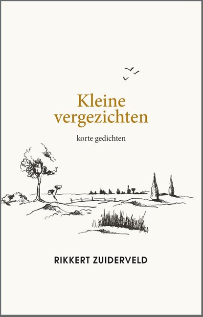 Kleine vergezichten, Rikkert Zuiderveld - Gebonden - 9789033802577
