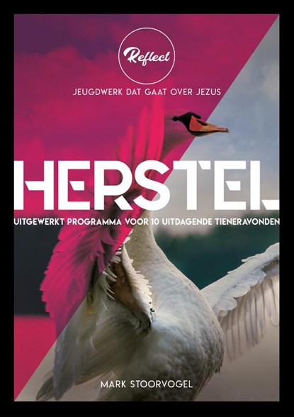 Herstel, Mark Stoorvogel - Paperback - 9789033834356