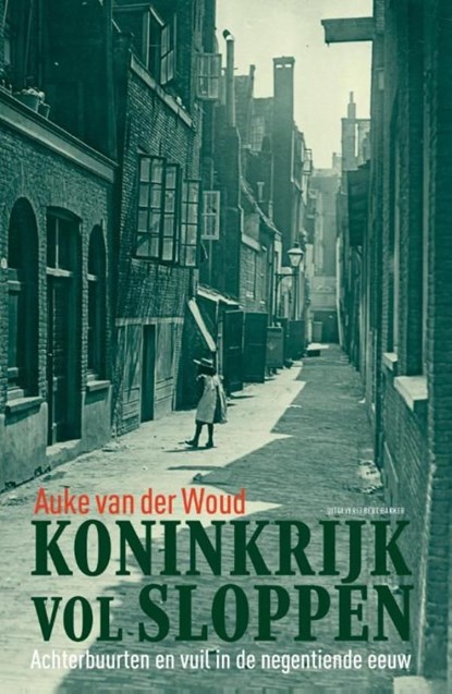 Koninkrijk vol sloppen, Auke van der Woud - Ebook - 9789035136861