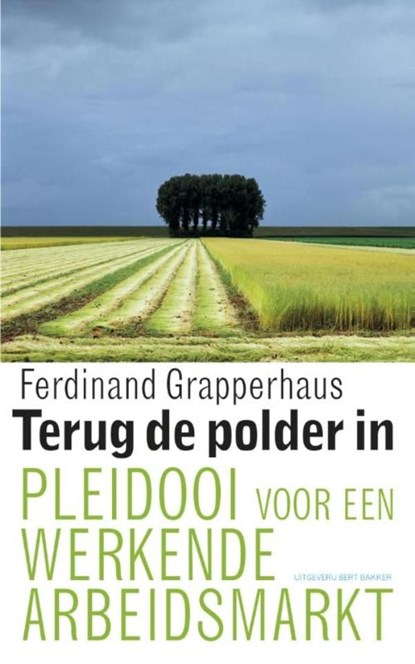 Terug de polder in, Ferdinand Grapperhaus - Ebook - 9789035139558