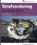 Strafvordering op straat 2013, Theo de Bruin - Paperback - 9789035246461