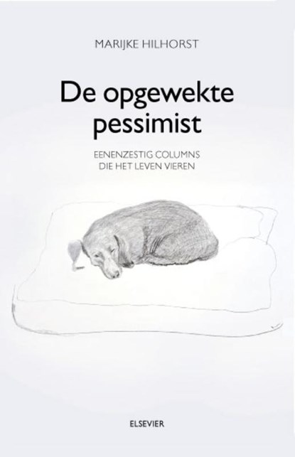 De opgewekte pessimist, Marijke Hilhorst - Paperback - 9789035250505