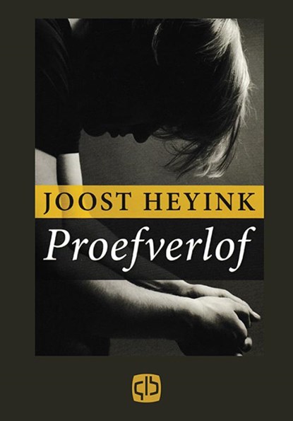 Proefverlof, Joost Heyink - Paperback - 9789036425988