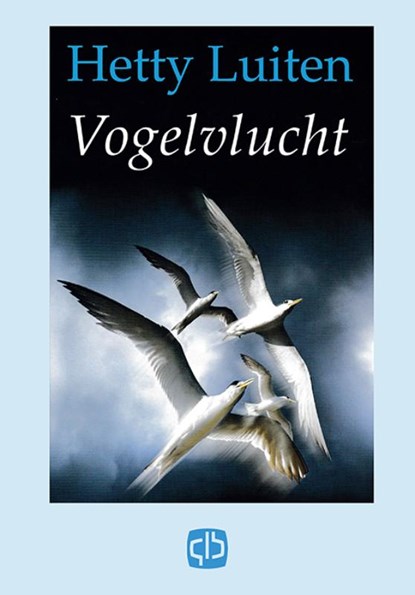 Vogelvlucht, Erven Hetty Luiten - Gebonden - 9789036428668