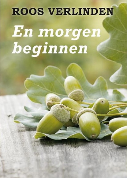 En morgen beginnen, Roos Verlinden - Paperback - 9789036429054