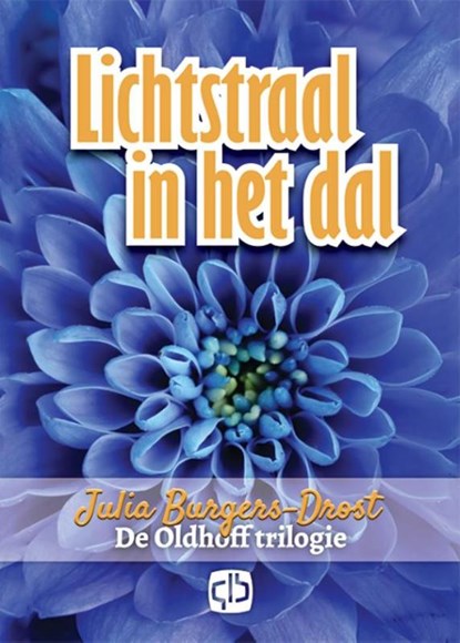 Lichtstraal in het dal, Julia Burgers-Drost - Gebonden - 9789036431712