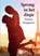 Sprong in het diepe, Tamara Haagmans - Gebonden - 9789036435505
