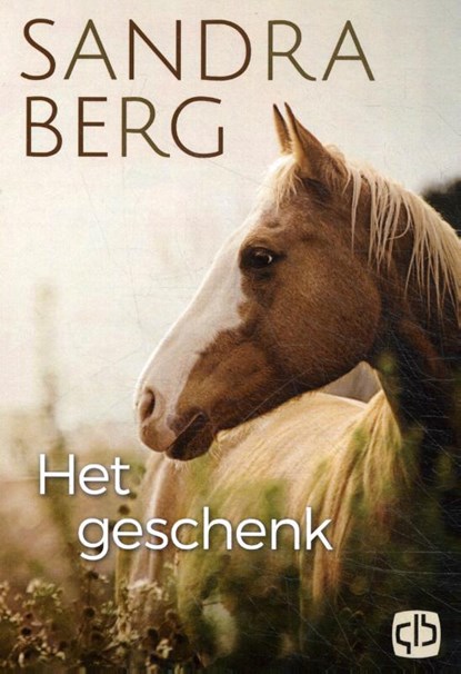 Het geschenk, Sandra Berg - Gebonden - 9789036436687