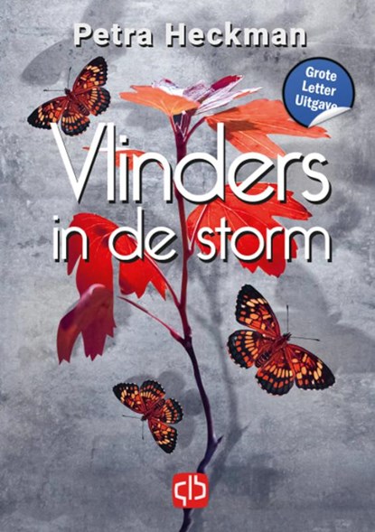 Vlinders in de storm, Petra Heckman - Gebonden - 9789036440042