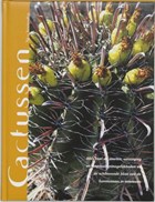 Cactussen | N. Vermeulen | 