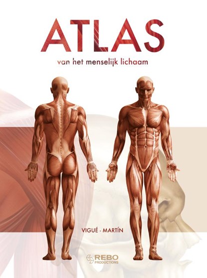 Atlas van het menselijk lichaam, Studio Imago - Gebonden - 9789036630658