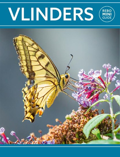 Rebo mini guide - Vlinders, Marianne Taylor - Paperback - 9789036637930