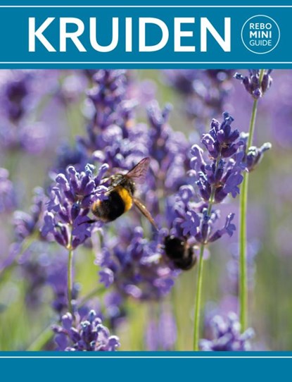 Kruiden - Rebo mini guide, Hanneke van Dijk - Paperback - 9789036643979