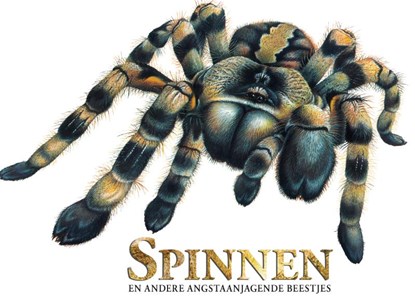 Spinnen en andere angstaanjagende beestjes, Claudia Martin - Gebonden - 9789036644075