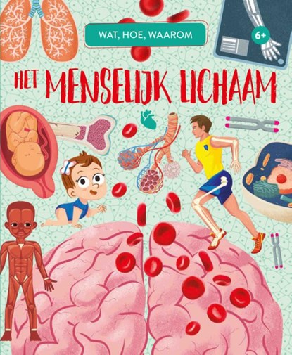 Het menselijk lichaam, Jaap Verschoor - Gebonden - 9789036644839