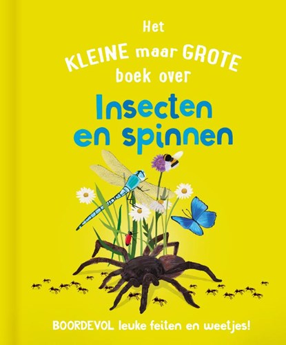 Het kleine maar grote boek over insecten en spinnen, Catherine Brereton - Gebonden - 9789036646338