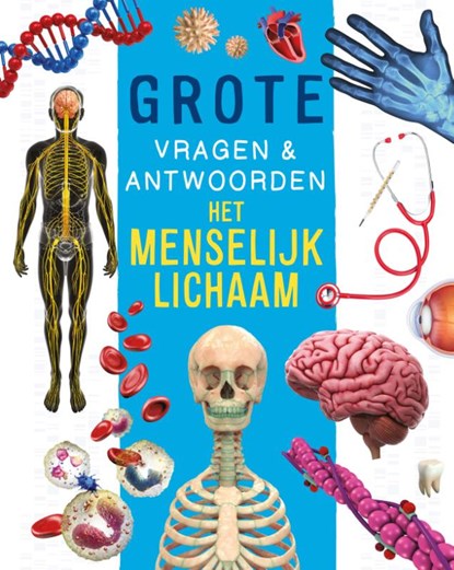 Het menselijk lichaam - Grote vragen & antwoorden, Nicola Deschamps ; Rebecca Kealy - Gebonden - 9789036647717
