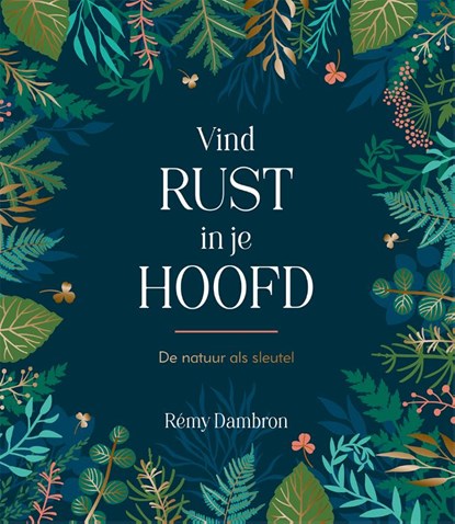 Vind rust in je hoofd, Rémy Dambron - Gebonden - 9789036649193