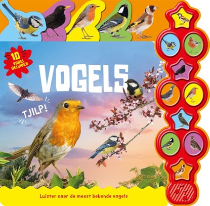 Vogels - 10-geluidenboek, Rebo Productions B.V. - Gebonden - 9789036649285