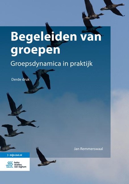 Begeleiden van groepen, Jan Remmerswaal - Paperback - 9789036807241
