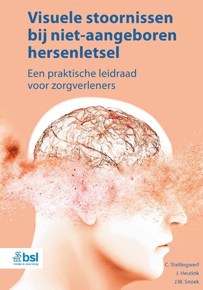 Visuele stoornissen bij niet-aangeboren hersenletsel, C. Stellingwerf ; J. Heutink ; J.W. Snoek - Paperback - 9789036830522
