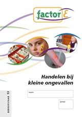 Factor-E Handelen bij kleine ongevallen - Ingrid Staal ; Gerda Verhey - 9789037205930