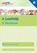 Werkboek, Odile van Eck ; Sabien Onvlee - Paperback - 9789037207149