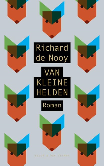 Van kleine helden, Richard de Nooy - Paperback - 9789038801834