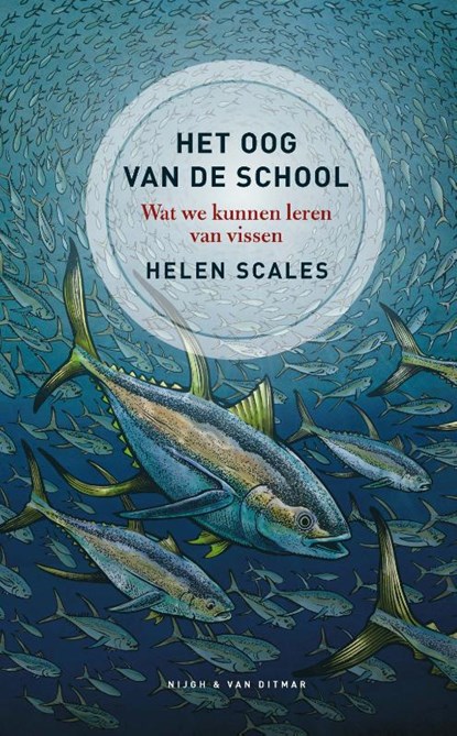 Het oog van de school, Helen Scales - Gebonden - 9789038805375