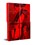 Tirza, Arnon Grunberg - Paperback - 9789038817149