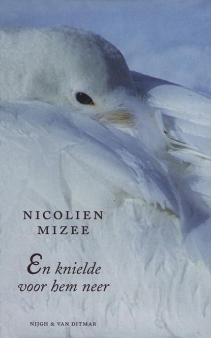 En knielde voor hem neer, Nicolien Mizee - Ebook - 9789038895864