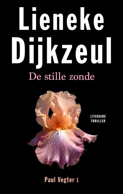 De stille zonde, Lieneke Dijkzeul - Ebook - 9789041414793