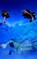 De achterblijvers, Maaike Gerritsen - Paperback - 9789041423139
