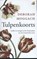 Tulpenkoorts, Deborah Moggach - Paperback - 9789041711724