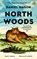 North Woods, Daniel Mason - Paperback - 9789041717511