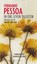 In ons leven tallozen, Fernando Pessoa - Gebonden - 9789041740847