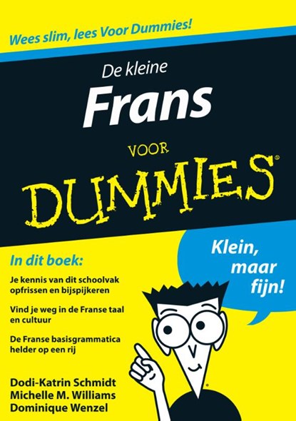 De kleine Duits voor Dummies, Paulina Christensen ; Anne Fox ; Fontline - Paperback - 9789043020879