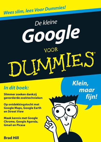De kleine Google voor Dummies, Brad Hill ; Fontline - Paperback - 9789043021425