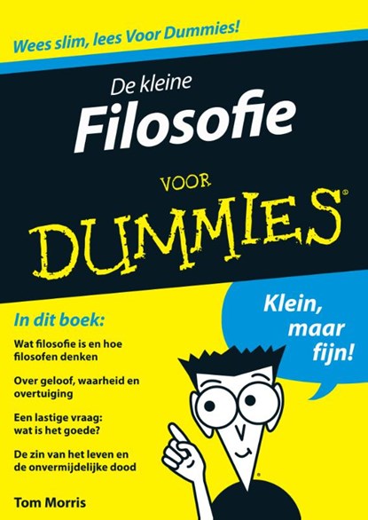 De kleine Filosofie voor Dummies, Tom Morris ; Fontline - Paperback - 9789043021869