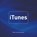 iTunes, Pieter van Groenewoud - Paperback - 9789043028363