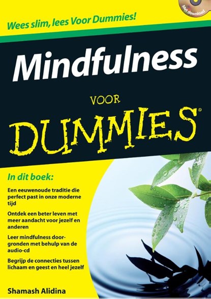 Mindfulness voor dummies, Shamash Alidina - Ebook - 9789043028769