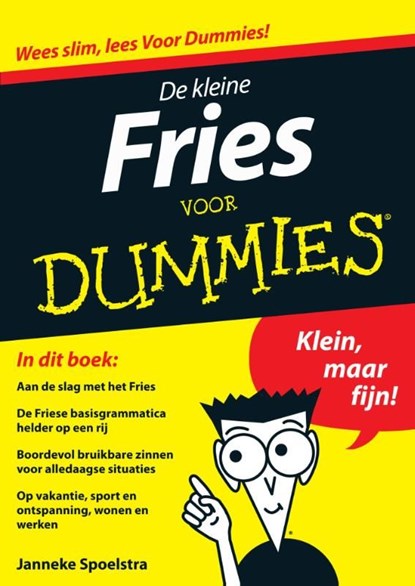 De kleine Fries voor Dummies, Janneke Spoelstra - Ebook - 9789043028776