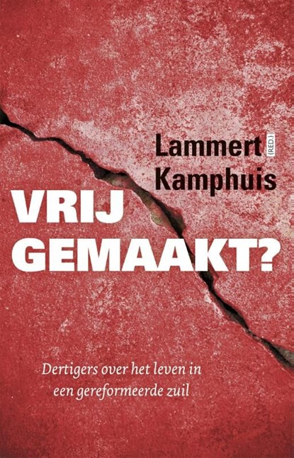 Vrijgemaakt?, Lammert Kamphuis - Ebook - 9789043523417