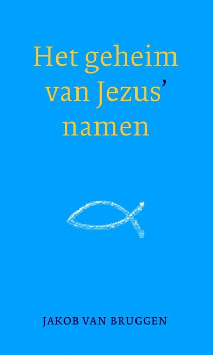 Het geheim van Jezus' namen, Jakob van Bruggen - Gebonden - 9789043527248