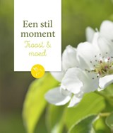 Troost & moed - Arthur van Essen ; Piet van der Schoof - 9789043527668