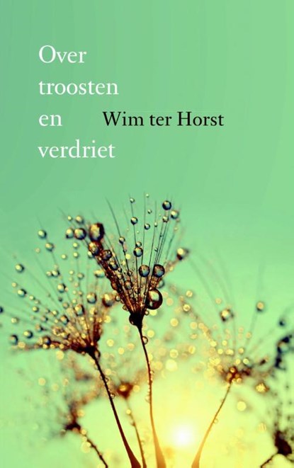 Over troosten en verdriet, Wim ter Horst - Paperback - 9789043527767