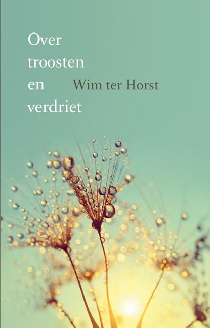 Over troosten en verdriet, Wim ter Horst - Ebook - 9789043527880